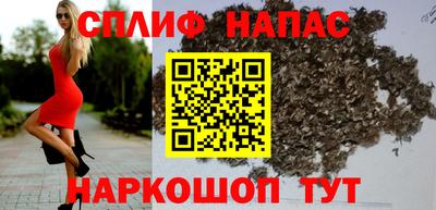 стафф Малгобек