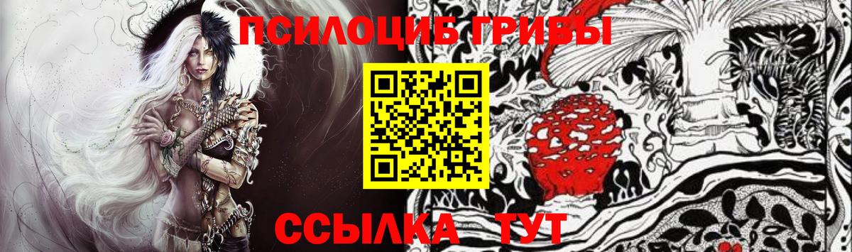 Псилоцибиновые грибы Psilocybine cubensis Гулькевичи